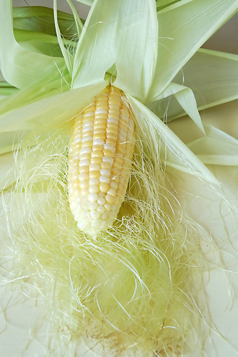 Cornsilk Powder
