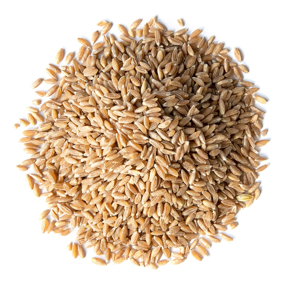 Spelt Berries (250g - 8.82oz)